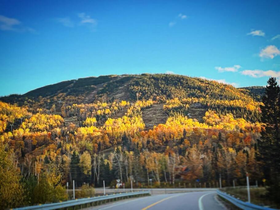Appartement Mont Edouard, Hebergement Paisible A La Montagne LʼAnse-Saint-Jean Extérieur photo