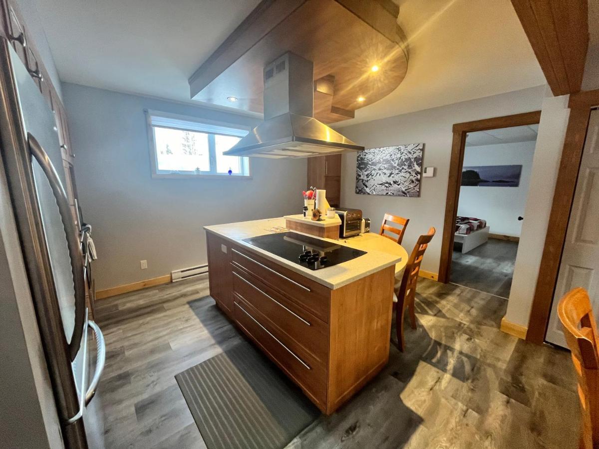 Appartement Mont Edouard, Hebergement Paisible A La Montagne LʼAnse-Saint-Jean Extérieur photo